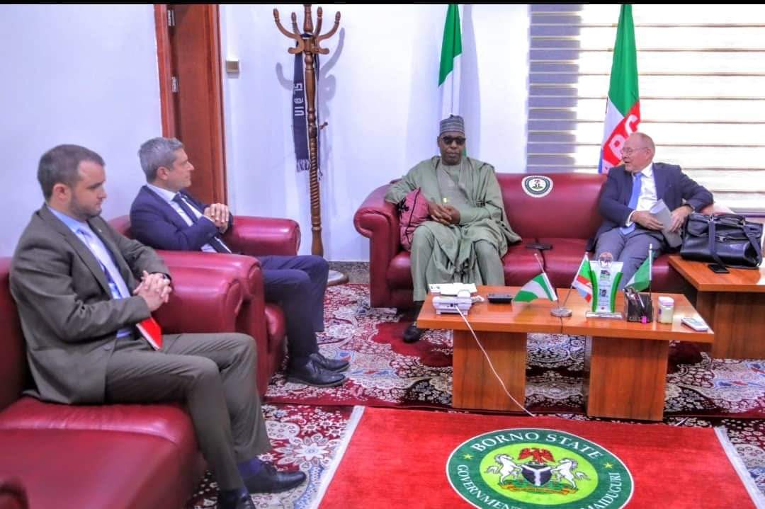 flood:-swiss-govt-donates-1.2m-euros-to-support-borno-victims