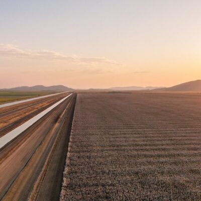 cotton-production-set-to-dominate-expansion-of-remote-australian-agricultural-region