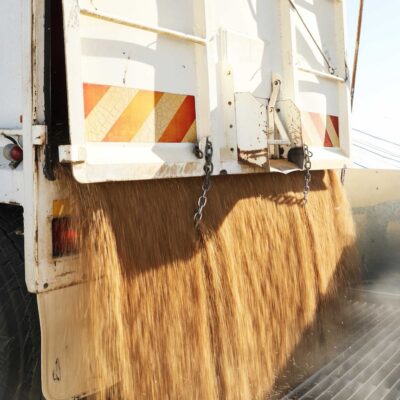 grain-industry-workers-threaten-to-strike-during-what-could-be-a-bumper-nsw-harvest