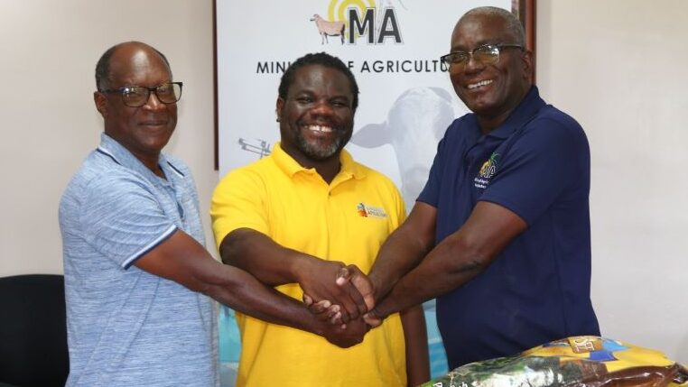 agriculture-ministry-assisting-beekeepers-post-hurricane-beryl