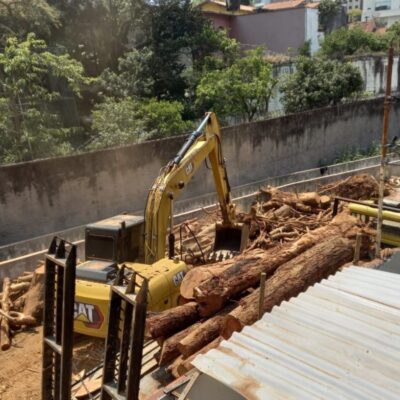 mpsp-cobra-prefeitura-sobre-remocao-de-arvores-para-obra-de-tunel