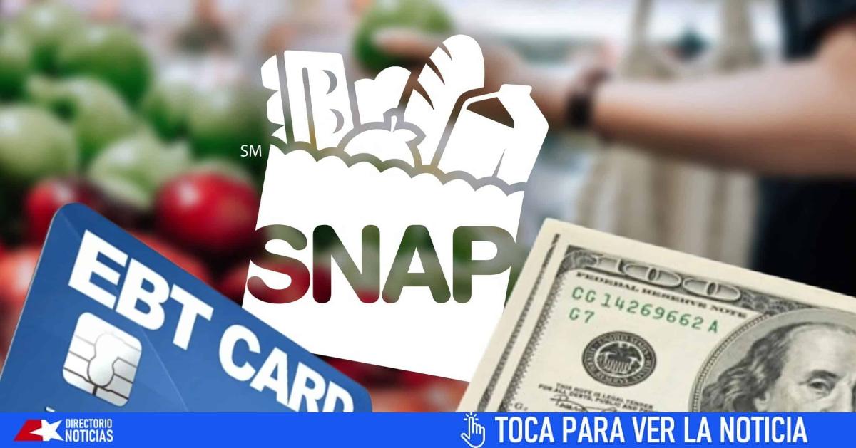 nuevos-pagos-del-snap-program-la-proxima-semana.-fechas-de-entrega