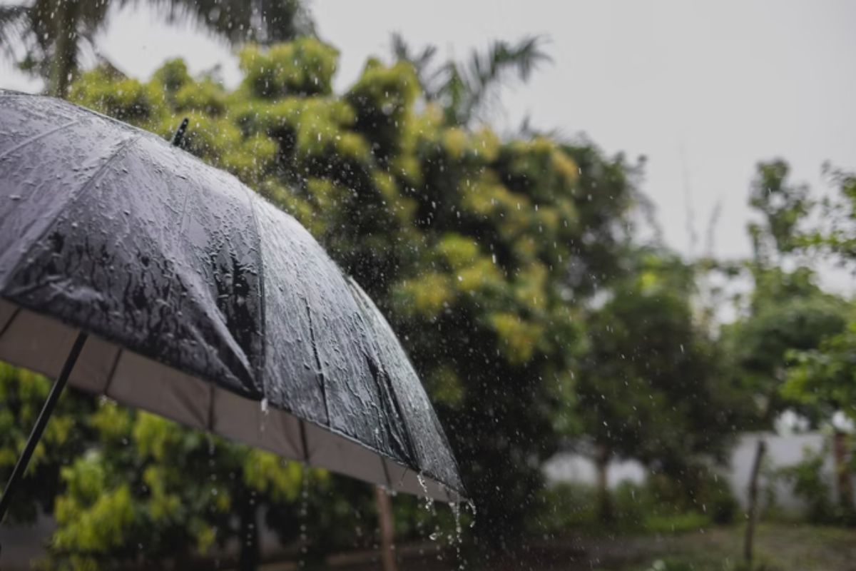 sp-deve-ter-mais-chuva-esta-semana-e-pode-ter-novo-vendaval-na-sexta