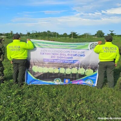 desmantelan-operacion-clandestina-en-area-forestal-de-gapala:-fiscalia-embarga-bienes-valorados-en-mas-de-4.700-millones-de-pesos