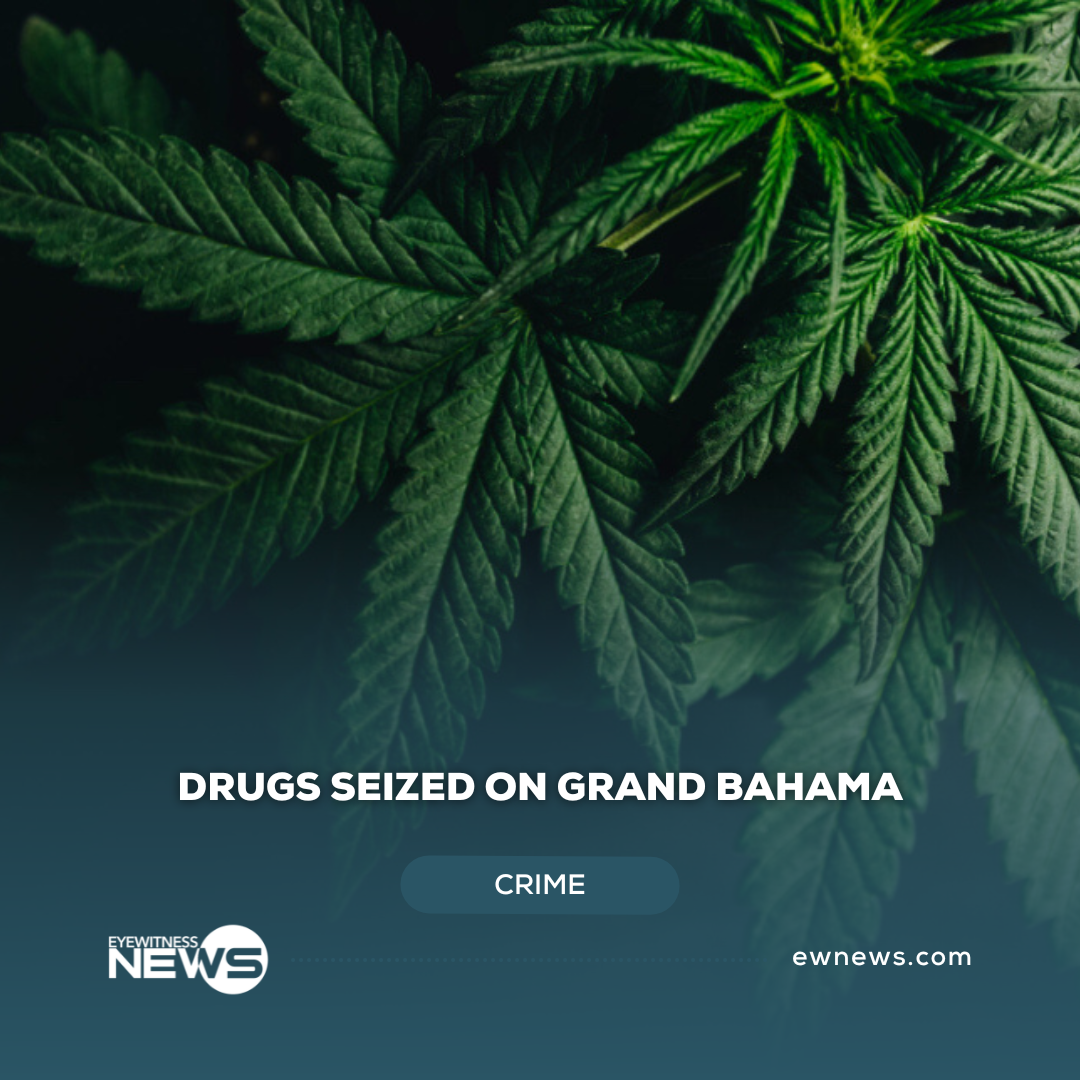 drugs-seized-on-grand-bahama