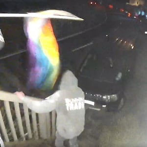 masked-offenders-steal-lgbtiq+-pride-flag-from-wellington-man’s-home