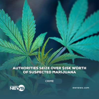 police-seize-over-$15k-in-suspected-marijuana