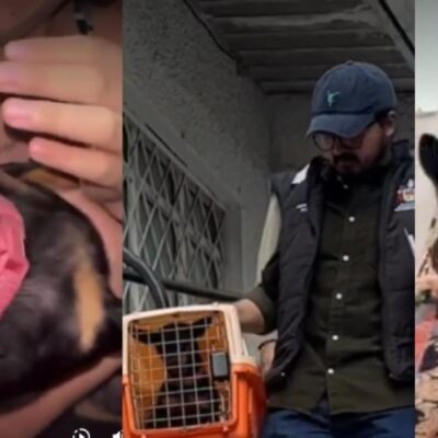 video|-indignacion-por-mujeres-que-obligan-a-perrita-pincher-a-inhalar-sustancias-alucinogenas