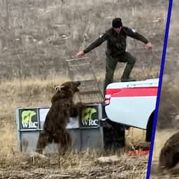 video-|-beer-stormt-op-ranger-af-na-vrijlating-in-armeense-wildernis