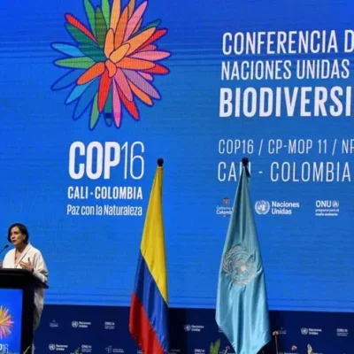 cop16-avanza-con-“grandes-progresos”,-dice-ministra-de-ambiente-de-colombia