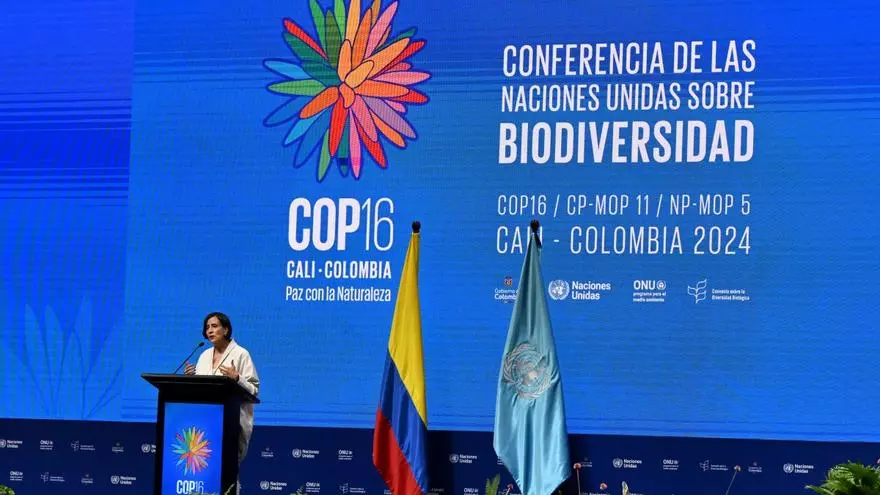 cop16-avanza-con-“grandes-progresos”,-dice-ministra-de-ambiente-de-colombia