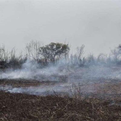 advierten-sobre-los-efectos-de-los-incendios-forestales-en-la-region