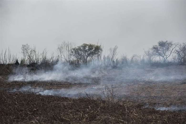 advierten-sobre-los-efectos-de-los-incendios-forestales-en-la-region