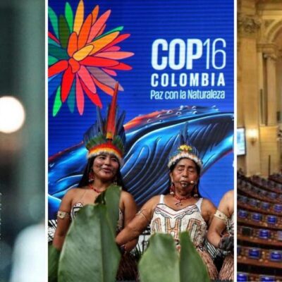 cop16,-copa-libertadores-y-la-recta-final-para-las-elecciones-en-estados-unidos:-lo-que-sera-noticia-la-proxima-semana