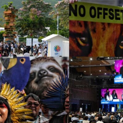 programacion-de-la-cop16-hoy-29-de-octubre-en-cali-|-eventos,-conciertos-y-agenda-del-noveno-dia-que-se-ha-tomado-valle-del-cauca