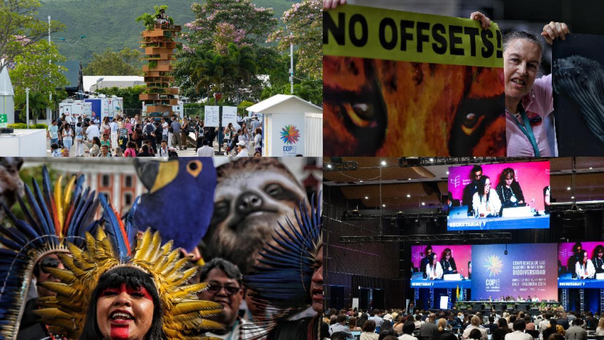 programacion-de-la-cop16-hoy-29-de-octubre-en-cali-|-eventos,-conciertos-y-agenda-del-noveno-dia-que-se-ha-tomado-valle-del-cauca