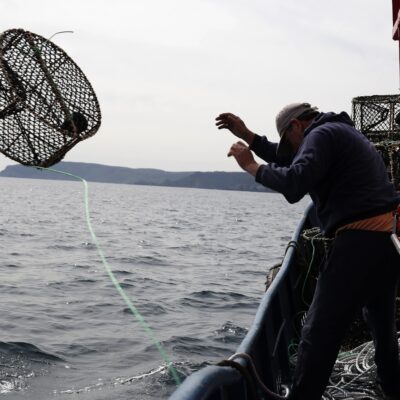 ley-de-pesca:-comision-de-hacienda-aprueba-fraccionamiento-y-se-vota-este-miercoles-en-sala-de-la-camara