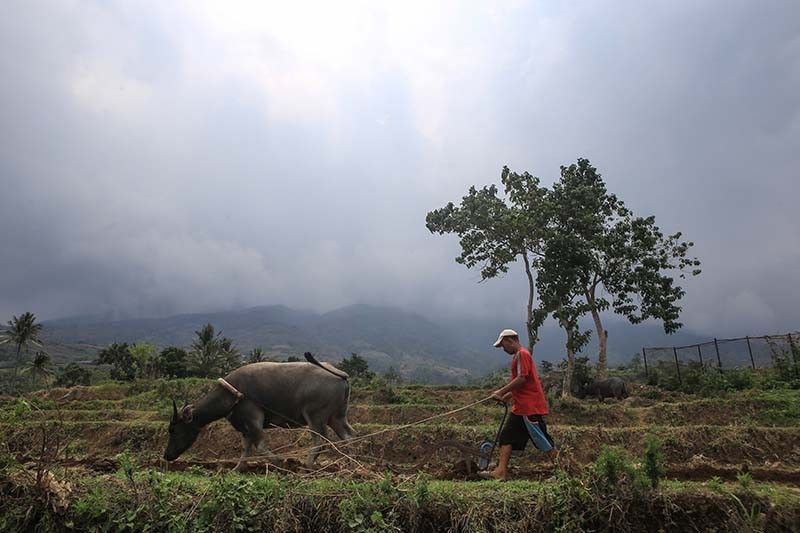 live-updates:-kanlaon-volcano-restiveness