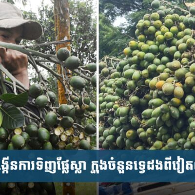 ប្រទេសចិនបង្កើនការទិញផ្លែស្លា-នៅក្នុងចំនួនទ្វេដងពីប្រទេសវៀតណាម