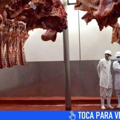 empresas-rusas-venderan-carnes-y-lacteos-a-cuba-en-las-proximas-semanas