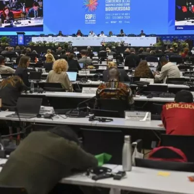 la-cop16-finaliza-sin-acuerdo-sobre-la-financiacion-para-salvar-la-naturaleza