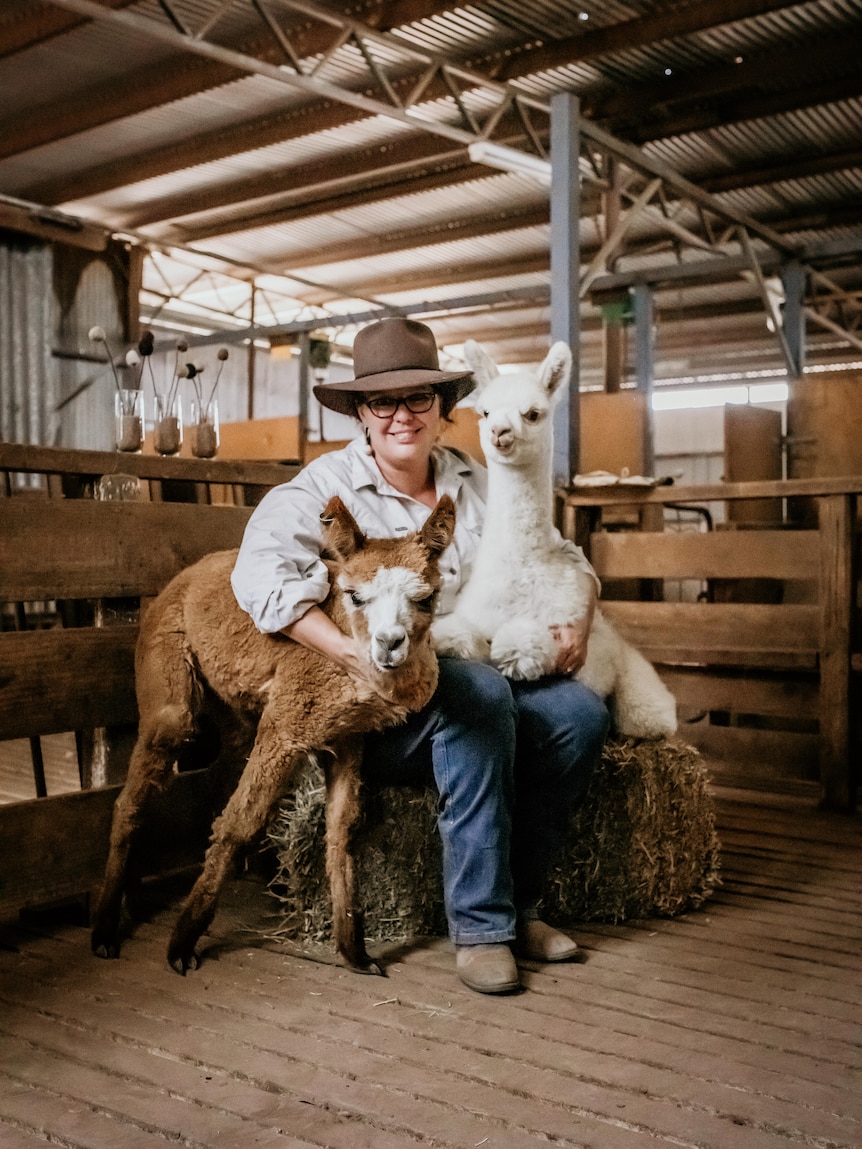 alpaca-farmer-turned-fibre-artist-makes-her-mark-on-eco-fashion-catwalk